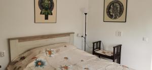 Iancina House & Art Gallery