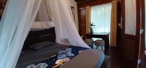 Tropical Jungle lodge & Jungle trekking