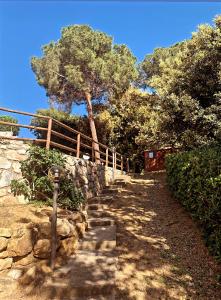 Il Boschetto sul Mare - Goelba