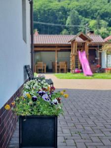 Pensiunea Teodora Caciulata