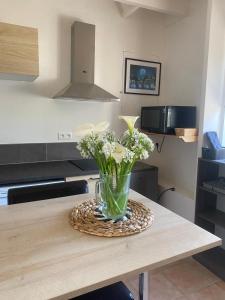 Maisons de vacances TY NICO - studio T2 : photos des chambres