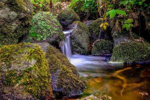 Maisons de vacances TY NICO - studio T2 : photos des chambres