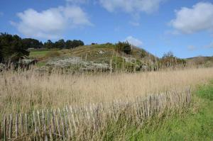Maisons de vacances TY NICO - studio T2 : photos des chambres
