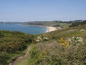 Maisons de vacances TY NICO - studio T2 : photos des chambres