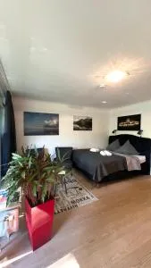 Ruheoase am Strand Wassersleben - Kollund