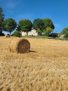Maisons de vacances Chez Pepe : photos des chambres