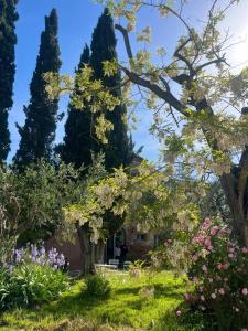 Quadruple Room with Garden View