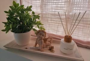 Appartement charmant et spacieux