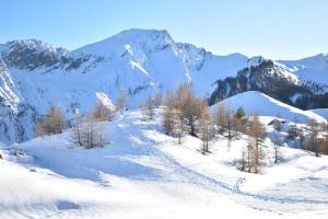 Résidence le Schuss Studio Montagne en bas des pistes