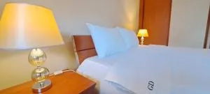 Golden Delight Central Apartment - Skopje