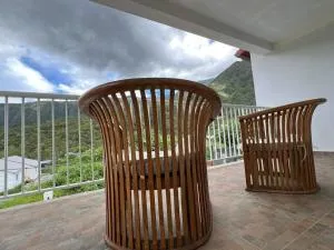 Apt ressource et vue panoramique - 圣路易斯