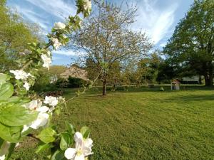 Gîte climatisé VILLA ESPERANZA à Valençay 2 à 5 p proche zoo de Beauval et châteaux Pour touristes et travailleurs