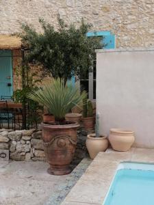 Mazet A l Ombre des Z oliviers