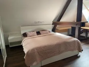 Jenys Apartment Usti 2 - Chlumec