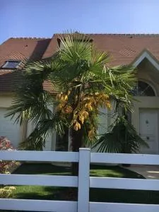 chambre avec entrée indépendante situation idéale - 马恩拉谷