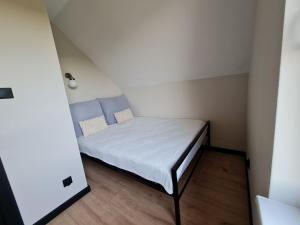 Pole Lawendowe Sielsko - domek na polu