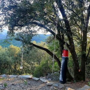 Villas Magnifique villa au coeur des Cevennes : photos des chambres