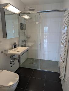 4,5 room apartment, public transportation to WEF