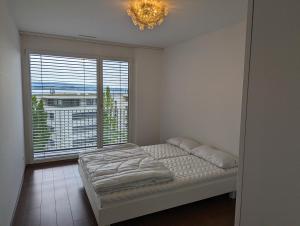 4,5 room apartment, public transportation to WEF