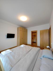 Apartament Central 3