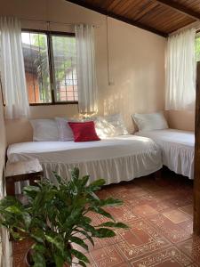 Cabañas Ecologicas Cayapas