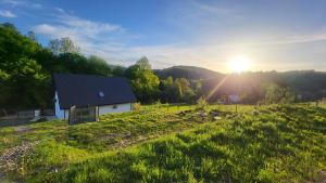 Leśne Wzgórze nad Soliną