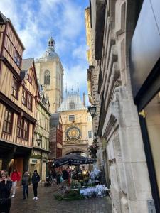 Appartements Amazonia Rouen Centre by MyFrenchPAT : photos des chambres