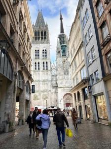 Appartements Amazonia Rouen Centre by MyFrenchPAT : photos des chambres