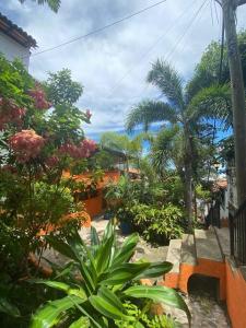 Studio Romantique - Tropical Garden