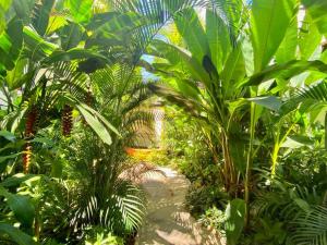 Studio Jardin Secret - Charming Garden