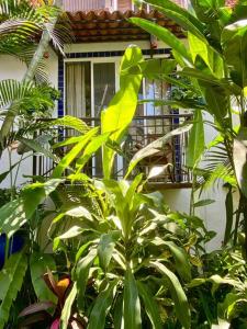 Studio Jardin Secret - Charming Garden