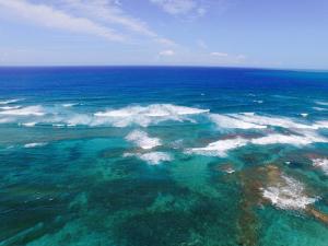 Mango House Toma la luna 2br