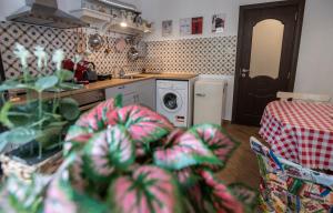 SOTS apART in Sofia center