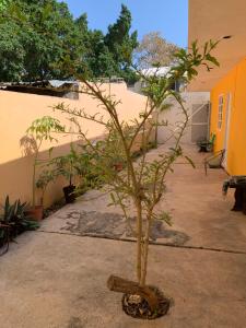 Ideal para relajarse y disfrutar de merida Yucatán