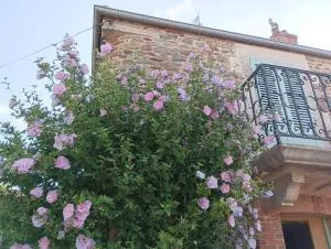 Mine d'Ore Grand Gîte de la Chouette d'Or - Sauvigny-le-Beuréal