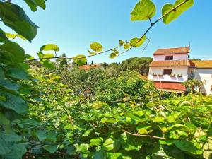 Ferienwohnung für 3 Personen ca 40 qm in Fažana, Istrien Istrische Riviera - b43361