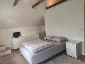 Billig overnatning tæt på badestrand og jesperhus - Priváty, Roslev