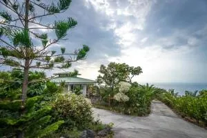 The Pineapple Express Hot Tub Volcano 65 Mi Away - Kaluahee Rock