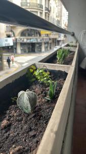 Departamento Microcentro full equipado cerca del obelisco