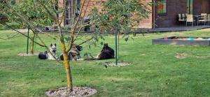 Ostoja pod Orlami - Dom