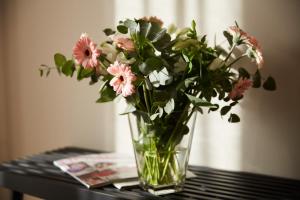 Binnendiek Haus 1 Apartment 2