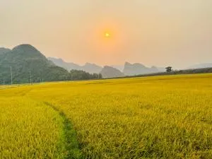 Huy-Homestay - Lý Hòa