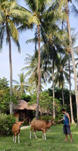 Lendang Eco Lodge