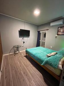 Rojas 329 - Centro de la Ciudad