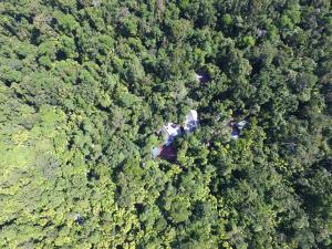 Daintree Wilderness Lodge