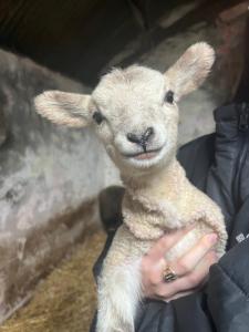 -Going back in time- 200 year old farmhouse