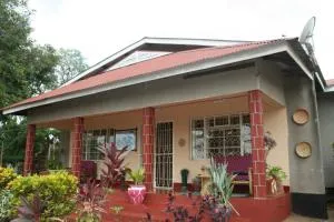 Adventures Nest - Uru