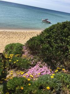 Quiet, luxurious Guest House - Couples Retreat