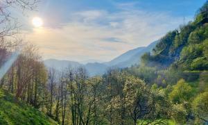 Hisa Brdo Guesthouse