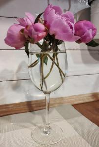 Мури Старого Львова